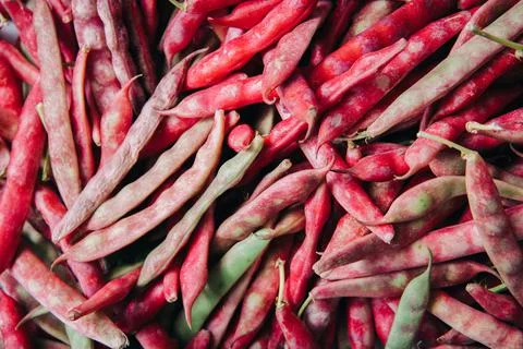 Shell bean texture background. Healthy food and vegetarian concept. Stock Photos