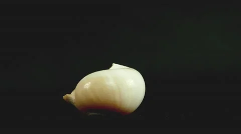 Shell on black 4k Footage Stock Footage 65012130