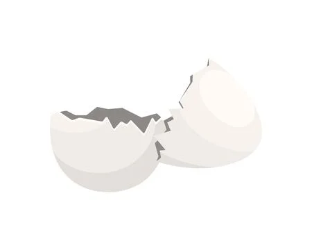 Shell from broken white egg, two empty eggshells after breaking Stock Illustration