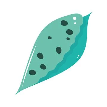 Shell case of crustacean Stock Illustration
