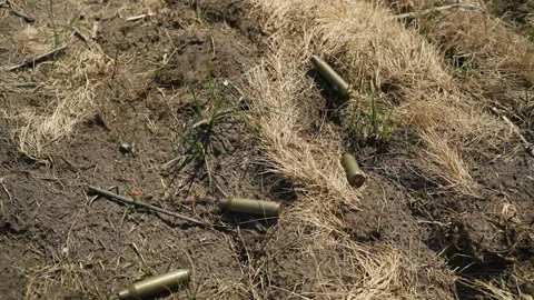 Shell casings of fired cartridges of large caliber fall on the grass dried  Stock Footage 270519181