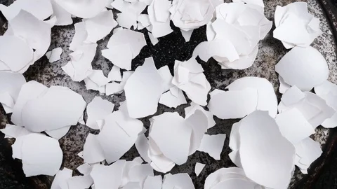 The shell of chicken eggs in the old pan. Stock Footage 101190242