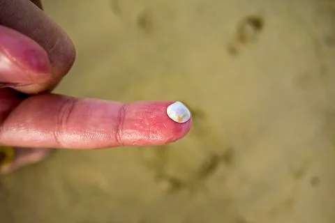 Shell on a child's finger on the beach Stock Photos
