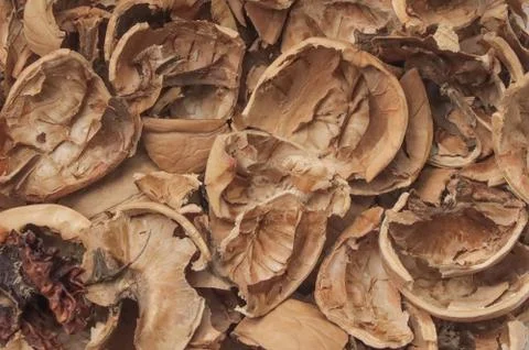 Shell from chopped walnuts. Stock Photos