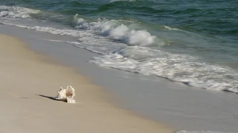 Shell Collector Running Stock Footage 10877013