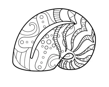Shell - coloring antistress - vector linear picture for coloring. Outline. Stock Illustration