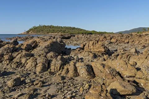 Shell Covered Rocks ON The Seashore Stock Photos