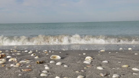 Shell covered shoreline as waves wash up Stock Footage 105745089