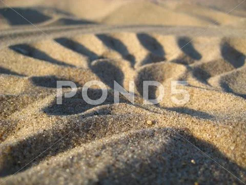 Shell Design in the Sands of Lake Michigan Stock Photos