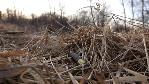 Shell Dropping into Grass in Slow Motion Stock Footage 70150871