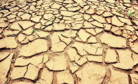 Shell of earth cracked dried bark sand clay without water background Foto stock