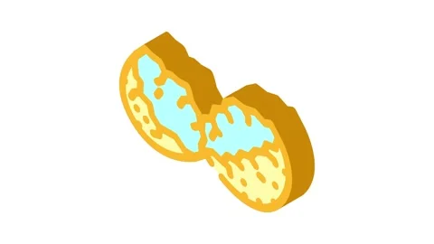 Shell egg chicken isometric icon animation Stock Footage 327291124