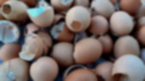 Shell of an egg with many eggshells, and bokeh blurred background. Stock Photos