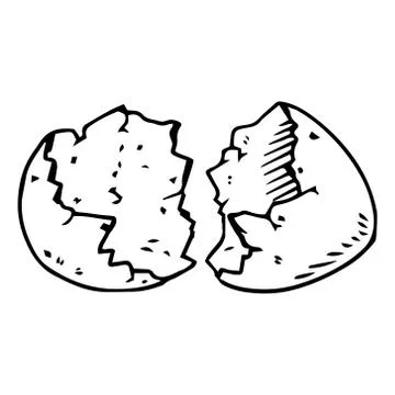 Shell of the eggs hand drawn. Stock Illustration