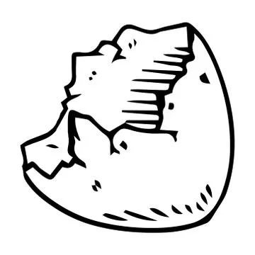 Shell of the eggs hand drawn. Stock Illustration