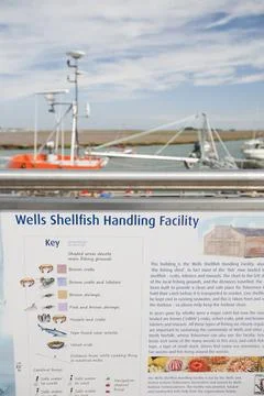 A shell fish handling facility at Wells Next the Sea in North Norfolk, UK. Stock Photos