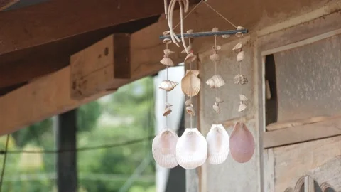 Shell Stock Footage 205531773