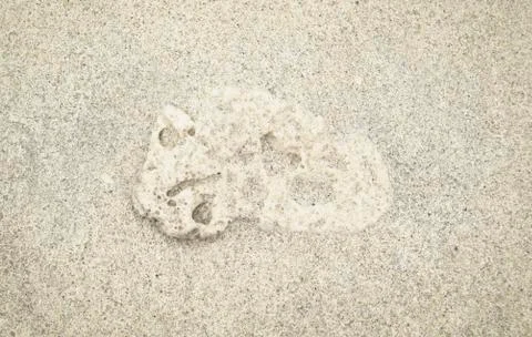Shell fragments in sand Stock Photos