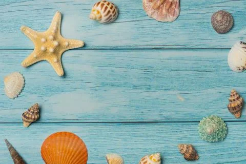 Shell frame on a blue wooden background. Top view, copy space Stock Photos