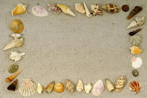 Shell frame Foto stock