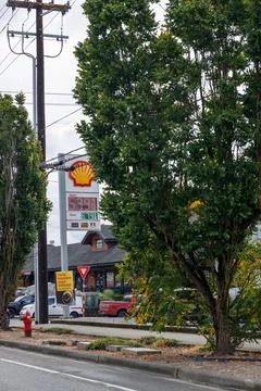 Shell fuel sign and canopy behind a maple tree, Washington Stock Photos
