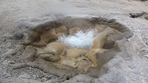 Shell Geyser of Biscuit Basin in Yellowstone NP, Wyoming, USA 库存影片 86855451