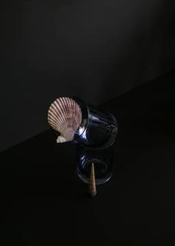 A shell in glasses standing on top of each other Stock Photos