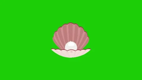 Shell on green background 動画素材 329393388