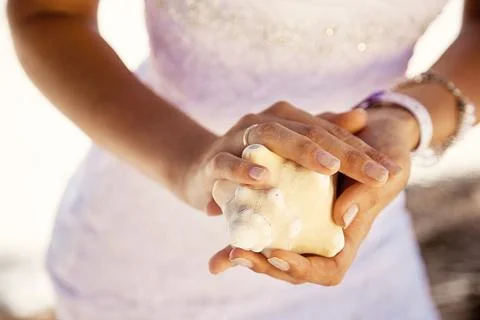 Shell in hand.  Rings on the shell. Stock Photos