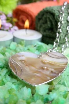 Shell heart Stock Photos