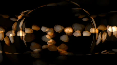 Shell Hearts Circle 库存影片 34296475