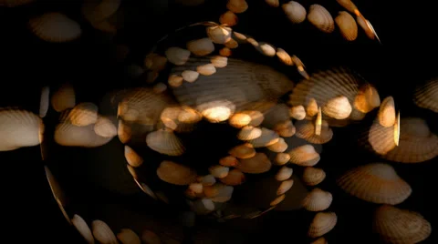 Shell Hearts Cubes Stockbeeldmateriaal 34296304