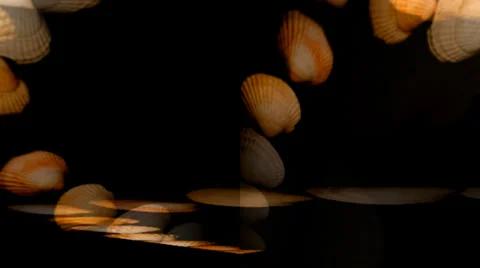 Shell Hearts Diamond 2 Видео 34296193