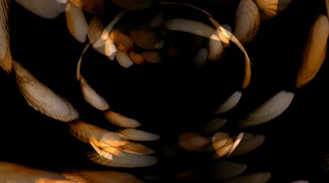 Shell Hearts Sphere 2 Видео 34296396