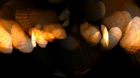 Shell Hearts Sphere Stock Footage 34296420