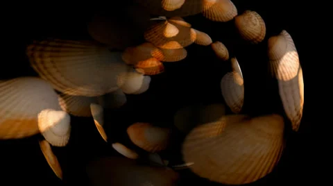 Shell Hearts Spin Stockbeeldmateriaal 34296264