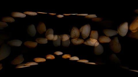 Shell Hearts Tube 2 Vidéo 34296326