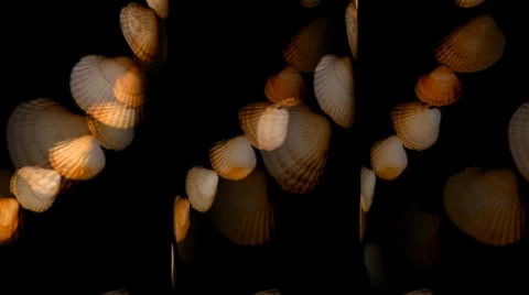 Shell Hearts Tubes Видео 34296138