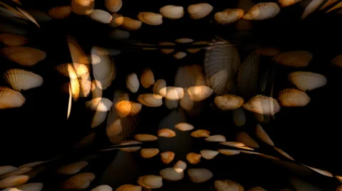 Shell Hearts Tubular Stock Footage 34296110