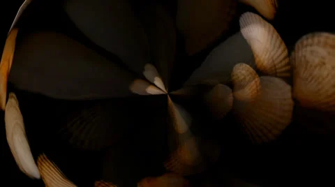 Shell Hearts Vortex 動画素材 34296375