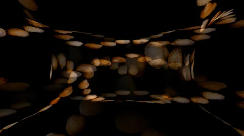 Shell Hearts Warpcore 2 Stockbeeldmateriaal 34296085