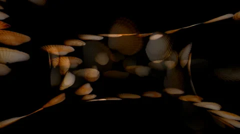 Shell Hearts Warpcore 3 Stockbeeldmateriaal 34296059