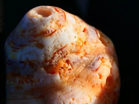 Shell with a hole in the middle of it. The shell is orange and white. The she Stock Photos