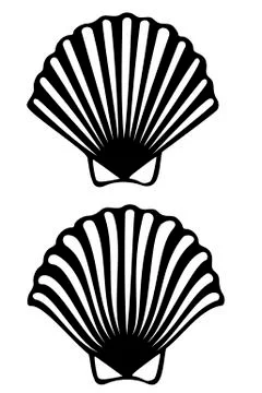 Shell Stock Illustration