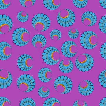 Shell Illustrazione stock