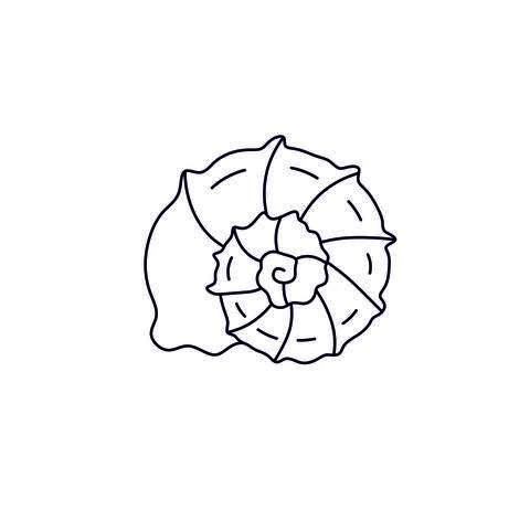 Shell Stock Illustration