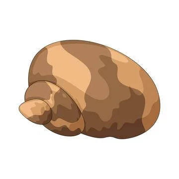 Shell illustration Stock Illustration