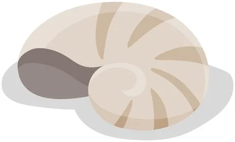 Shell isolated on white background. Chitin structure protecting snail vector Stock Illustration