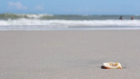 Shell laying on beach sand with ocean waves in background Stock Footage