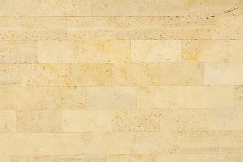 Shell limestone wall texture background. Stock Photos